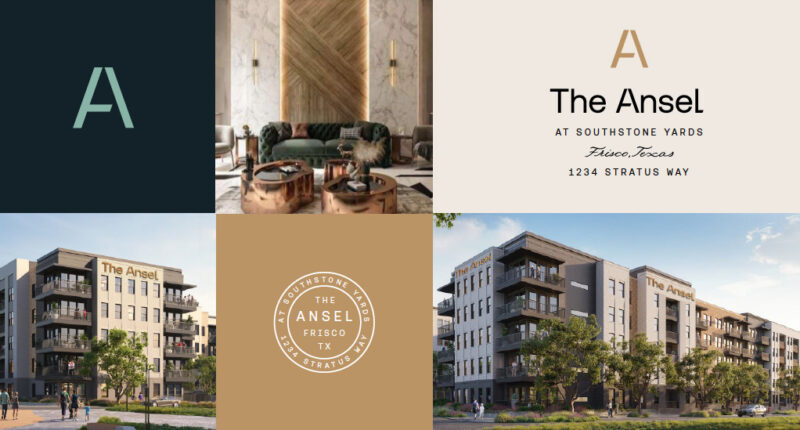 The Ansel